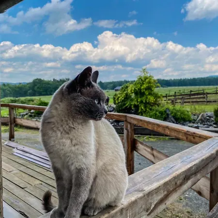 Holiday home Dum Splnenych Prani