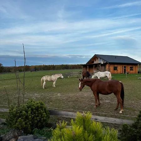 Holiday home Dum Splnenych Prani *