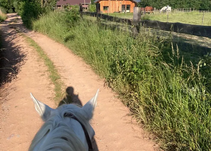 Dum Splnenych Prani Hébergement de vacances *